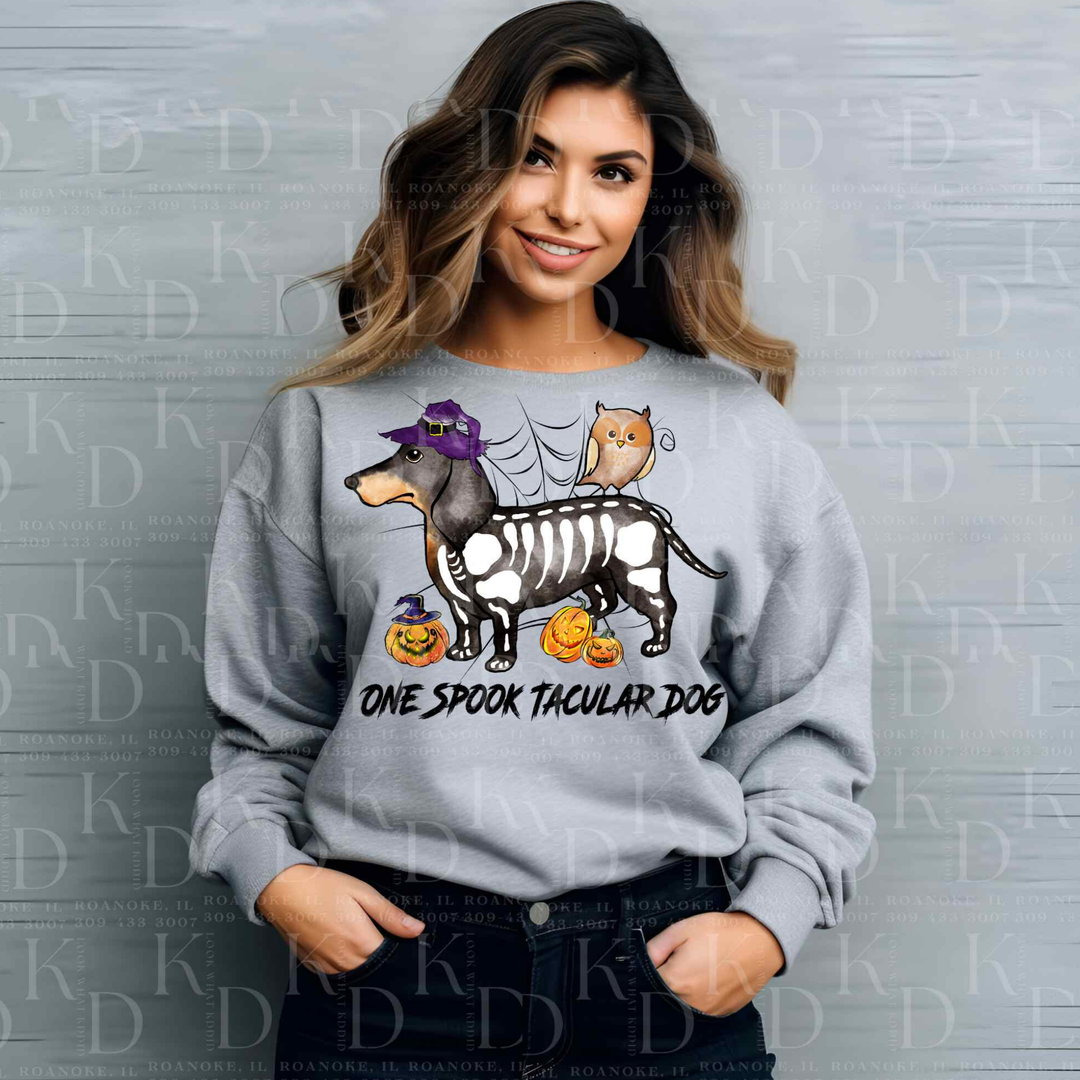 One Spooktacular Dog