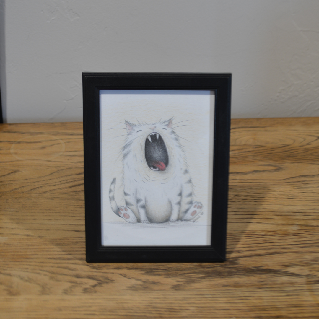 #37 Big Yawn