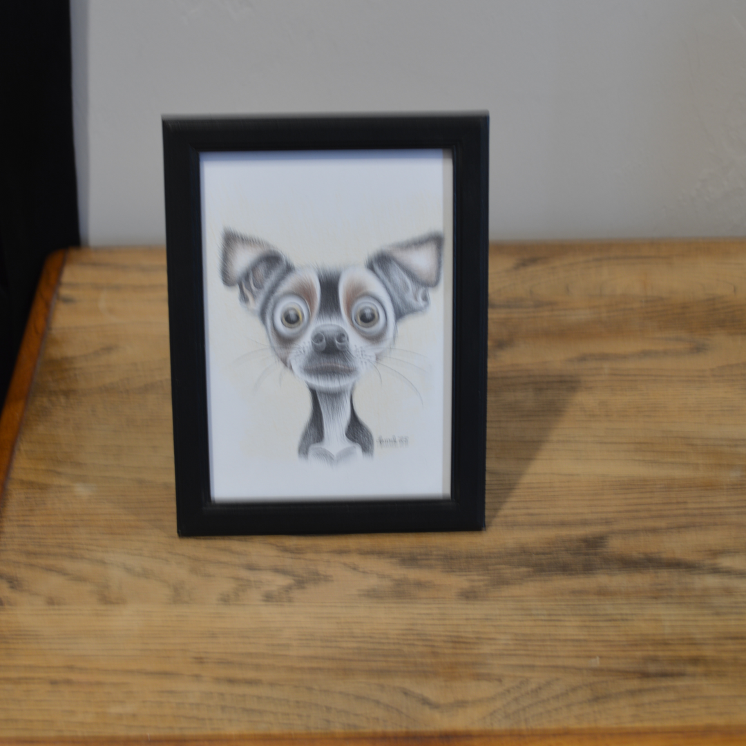 #38 Quirky Dog