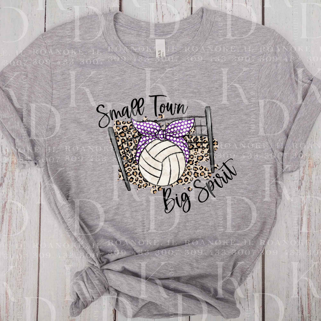 Titans #7 - small town big spirit, volleyball