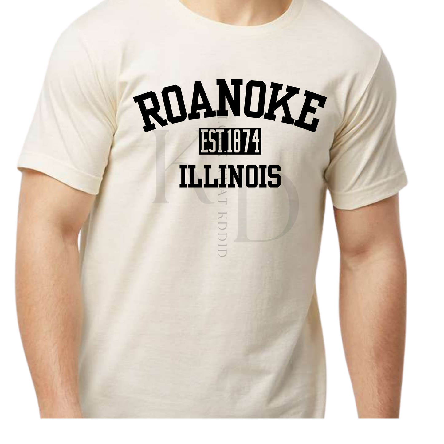 Roanoke  IL 150th year Celebration Varsity T-Shirts