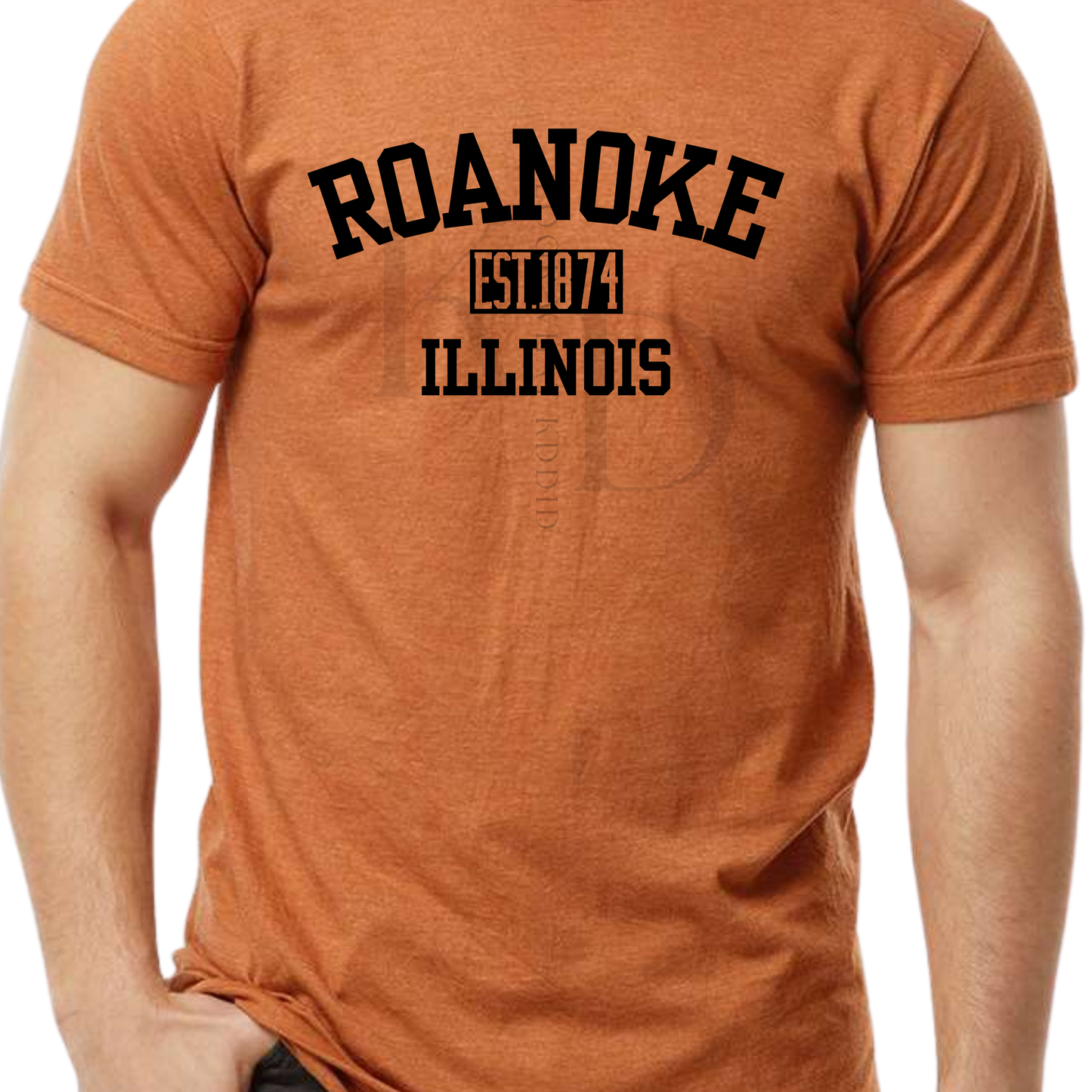 Roanoke  IL 150th year Celebration Varsity T-Shirts