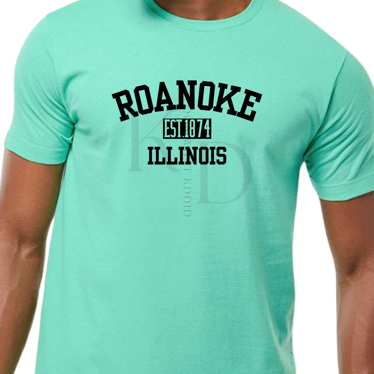 Roanoke  IL 150th year Celebration Varsity T-Shirts