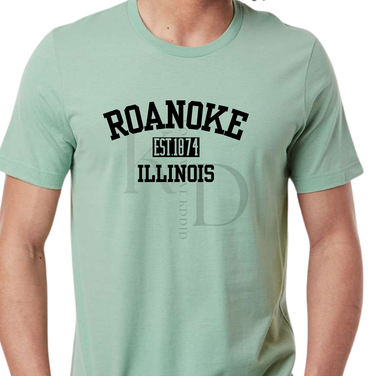 Roanoke  IL 150th year Celebration Varsity T-Shirts