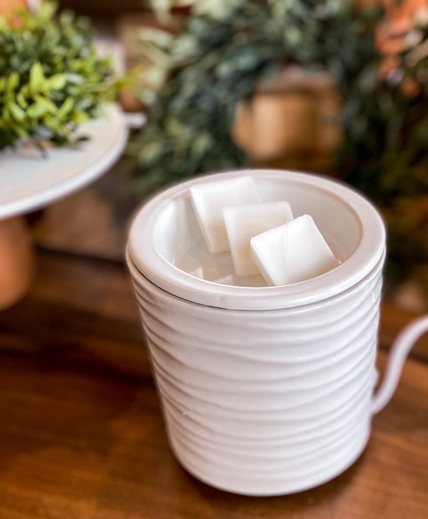 Vanilla Driftwood | Coconut Soy Wax Melts