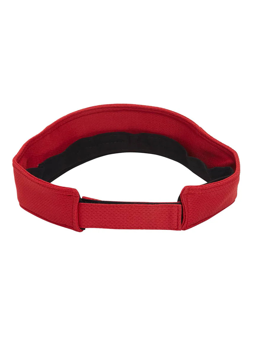 Guard Mesh Visor