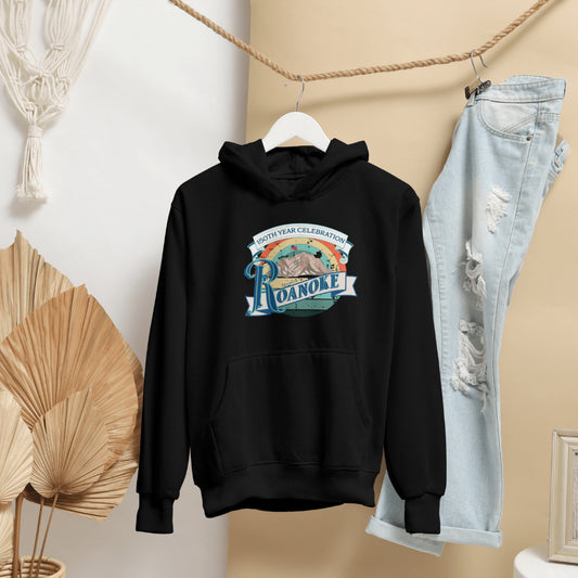 A ROANOKE ILLINOIS Color Circle Hoodie Striped Sweatshirt