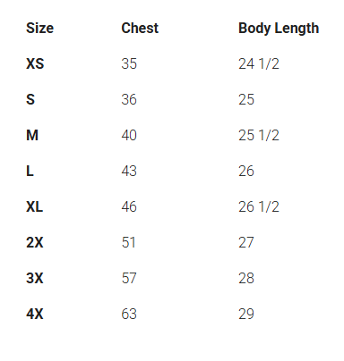 Enza® Relaxed V-Neck Tee