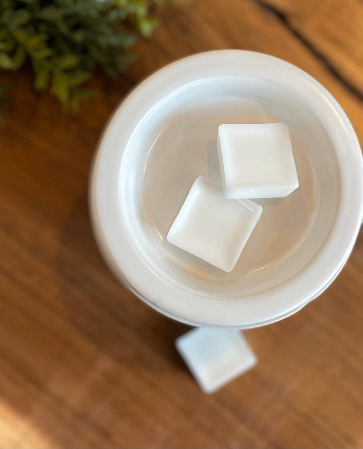 Petrichor | Spring Summer Wax Melts