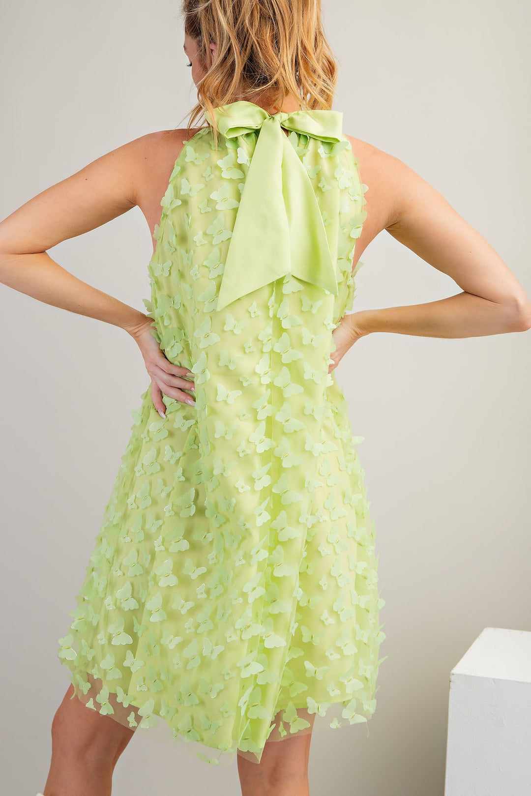 BUTTERFLY APPLIQUE MESH HALTER DRESS